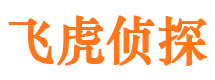 八道江市调查取证